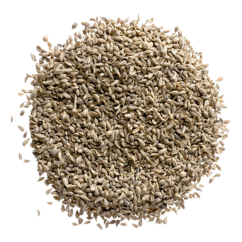 Anise Seed